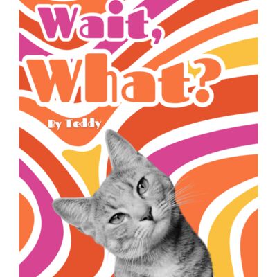 Wait, what?! Thumbnail